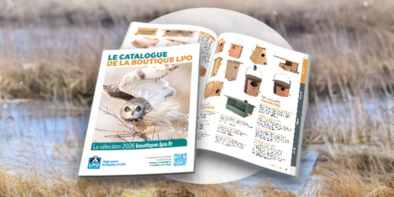 Commande groupée à la Boutique LPO pour les fêtes de fin d'année (37)